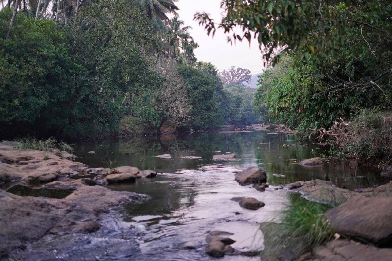 Athirapilly On The Rocks Hotel Athirappilly Bagian luar foto