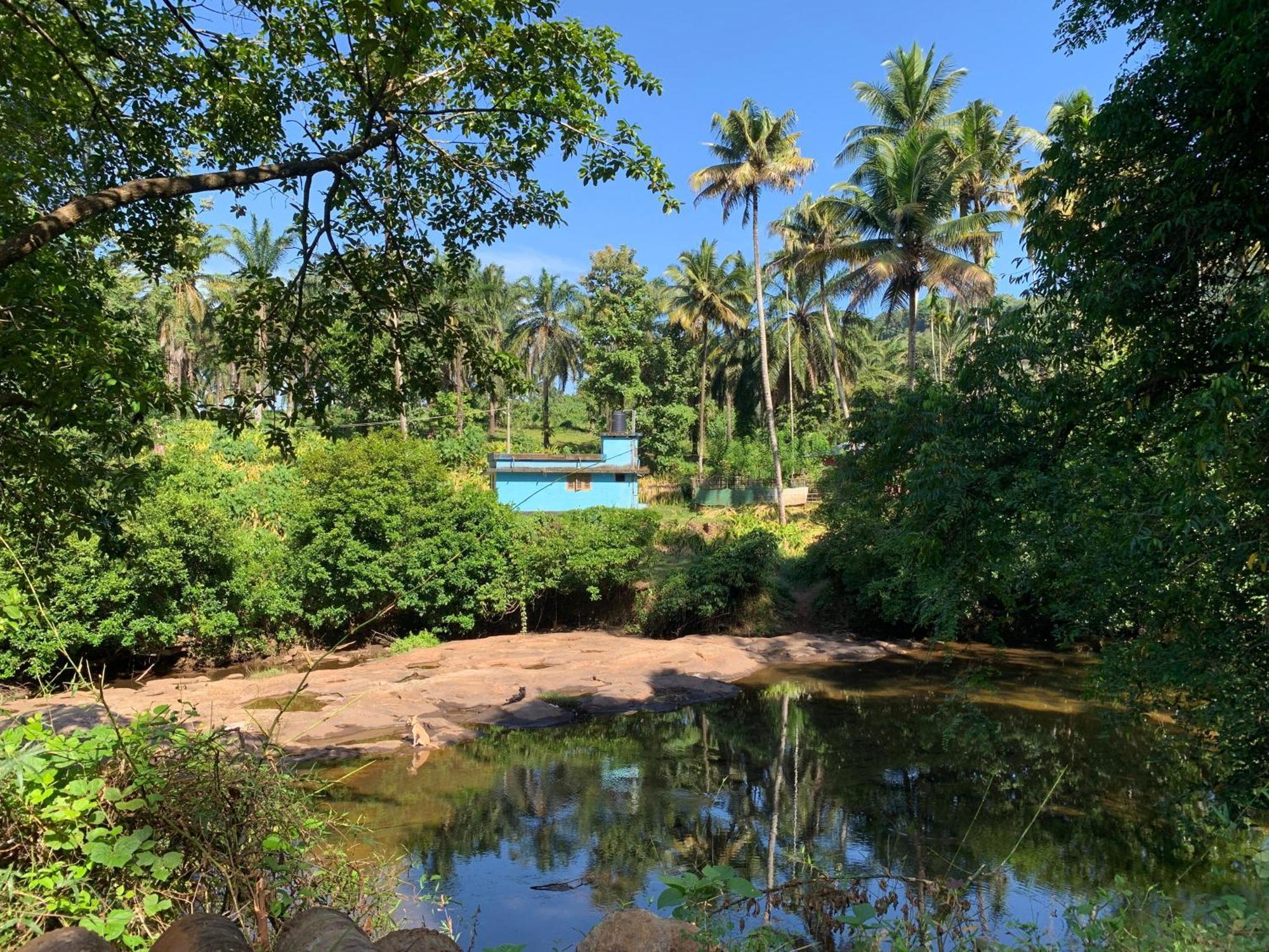 Athirapilly On The Rocks Hotel Athirappilly Bagian luar foto